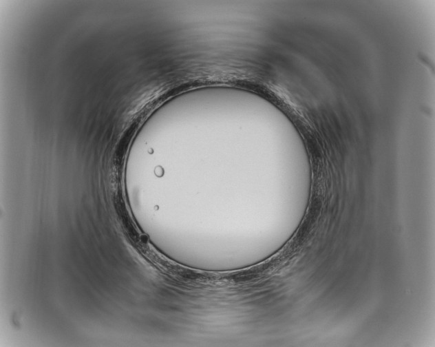 X0000097980683200803241042