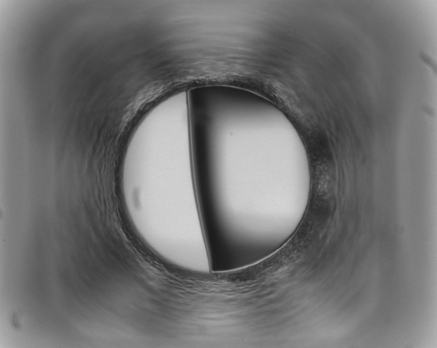 X0000097980685200803241042
