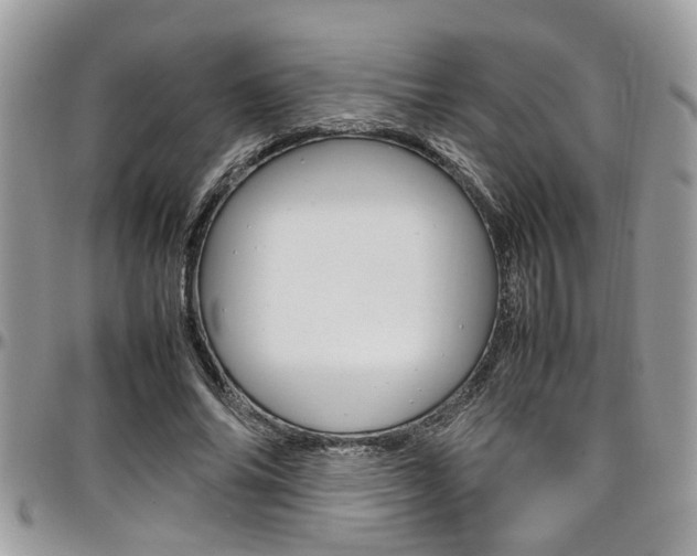 X0000097980686200803241042
