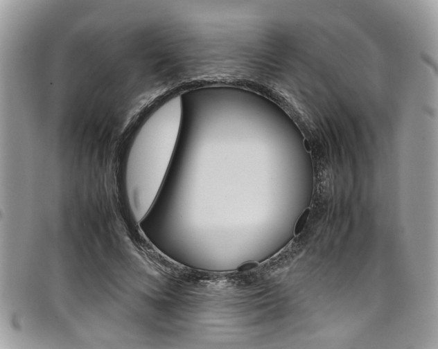 X0000097980688200803241042