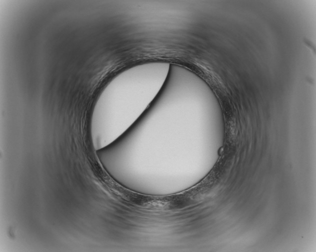 X0000097980691200803241042