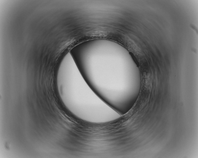 X0000097980692200803241042