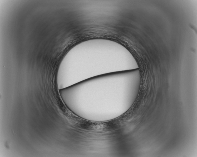 X0000097980695200803241042