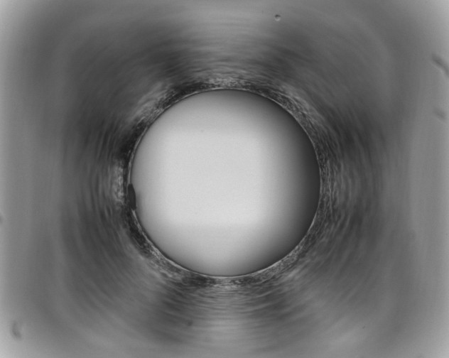 X0000097980696200803241042