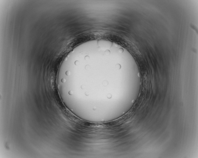 X0000097980698200803241042