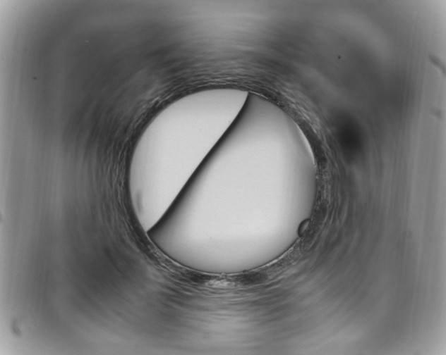 X0000097980699200803241042