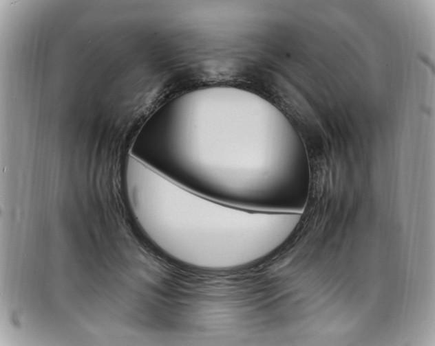 X0000097980700200803241042