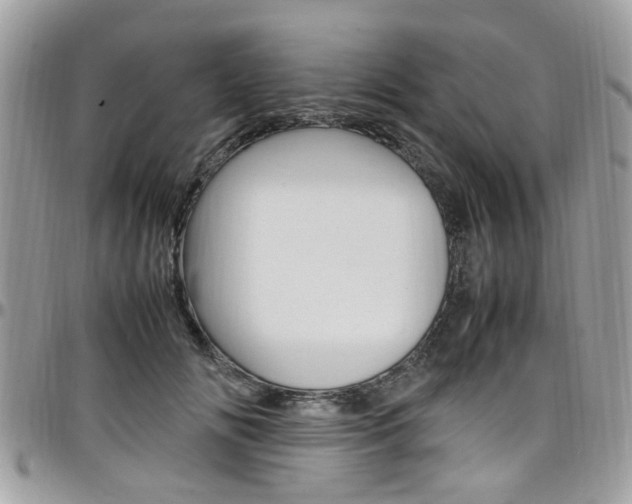 X0000097980702200803241042