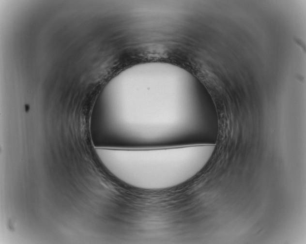 X0000097980704200803241042