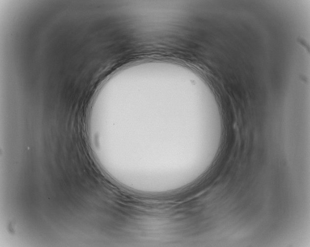X0000097980705200803241042