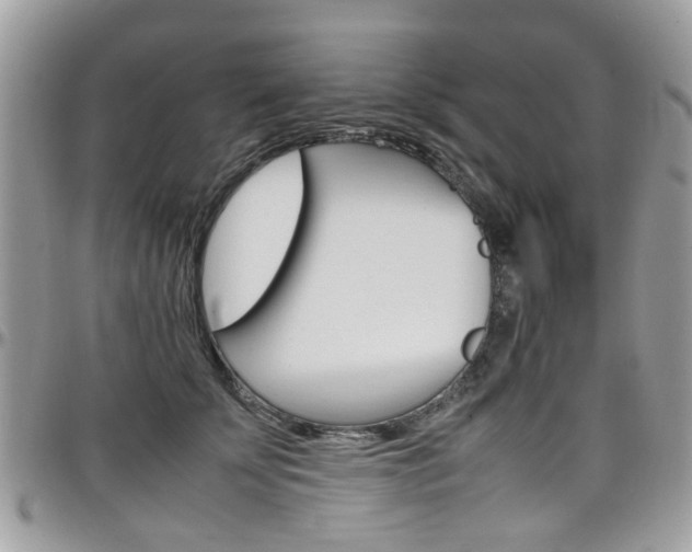 X0000097980707200803241042