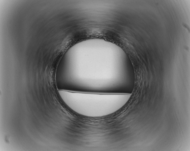 X0000097980708200803241042