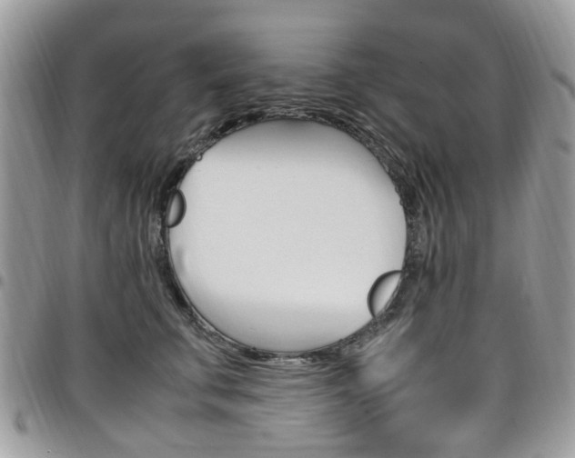 X0000097980711200803241042