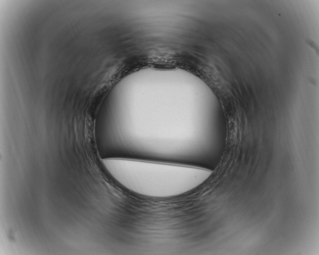 X0000097980712200803241042