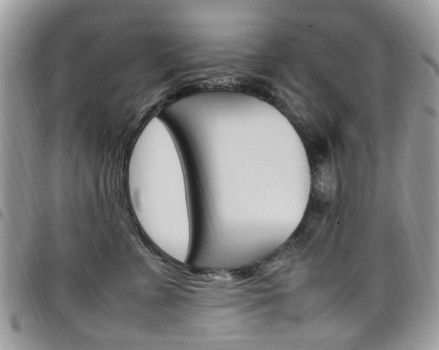 X0000097980715200803241042