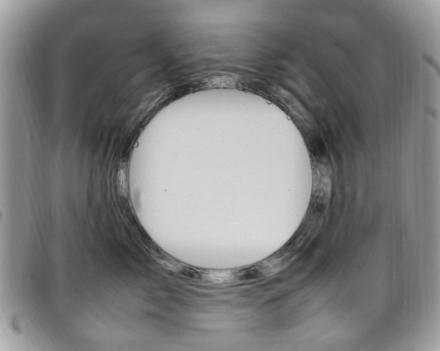 X0000097980717200803241042