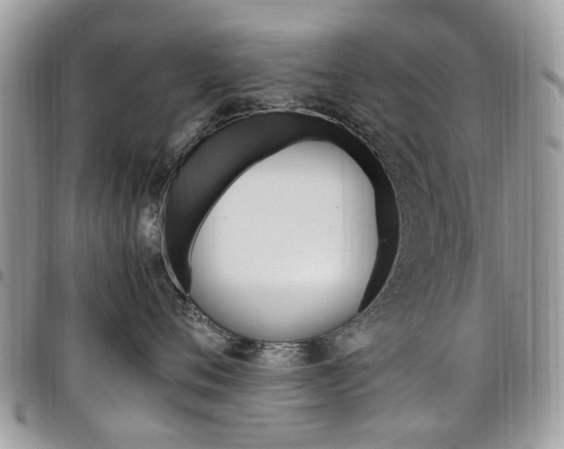 X0000097980720200803241042