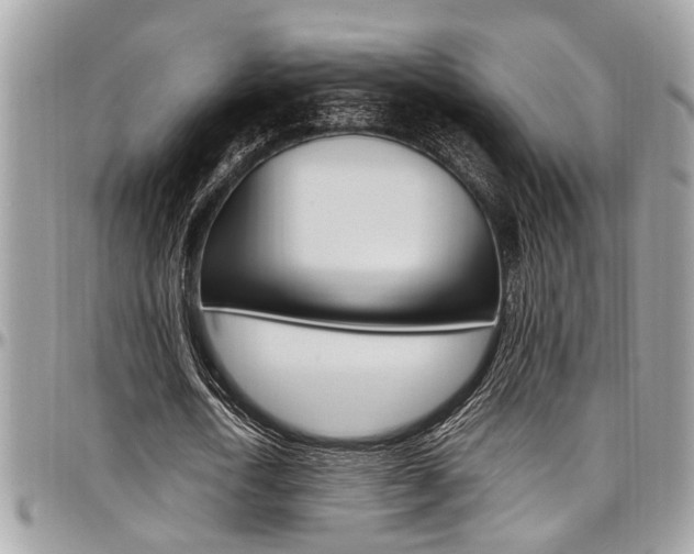 X0000097980722200803241041