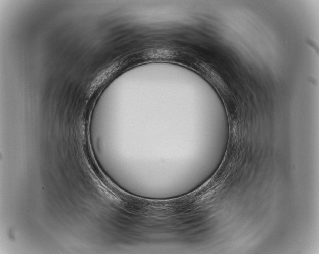 X0000097980725200803241041