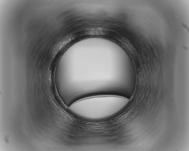 X0000097980727200803241041