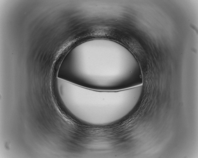 X0000097980728200803241041