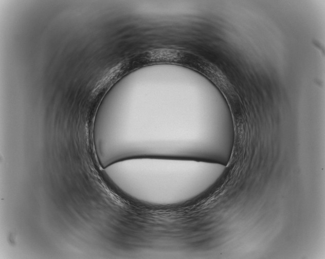 X0000097980729200803241041