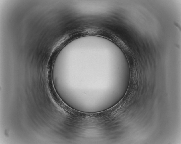 X0000097980730200803241041