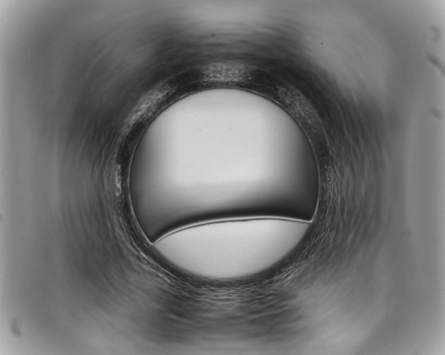 X0000097980731200803241041