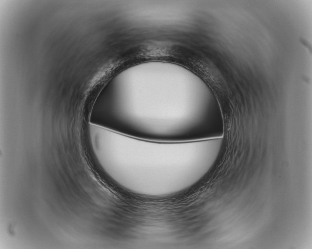 X0000097980732200803241041