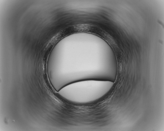 X0000097980733200803241041