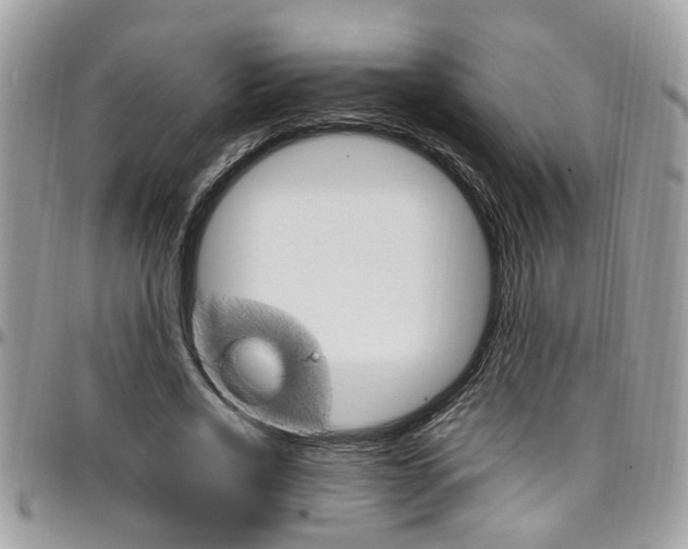 X0000097980734200803241041