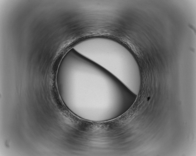 X0000097980736200803241042