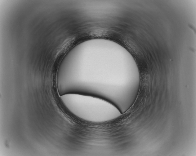 X0000097980738200803241042