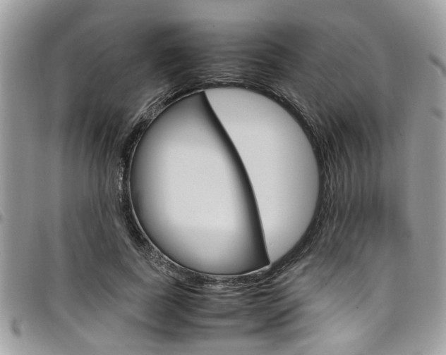 X0000097980739200803241042