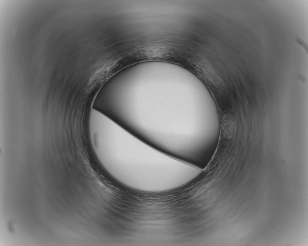X0000097980740200803241042
