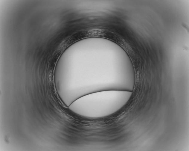 X0000097980741200803241042