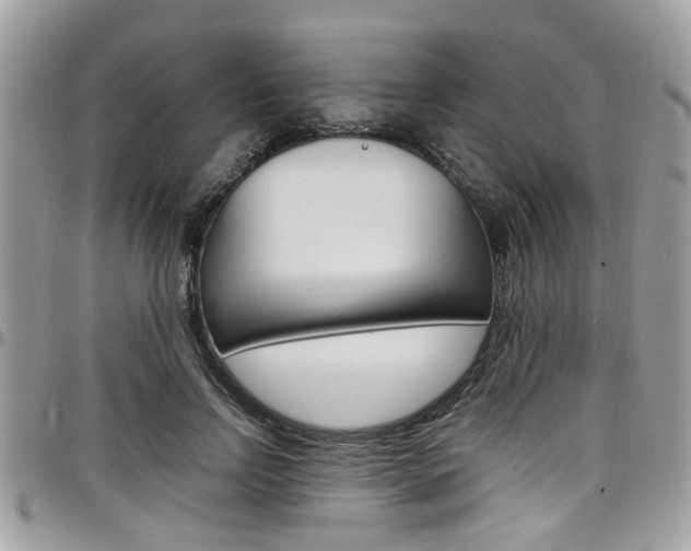 X0000097980742200803241042