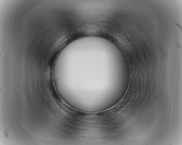 X0000097980744200803241042