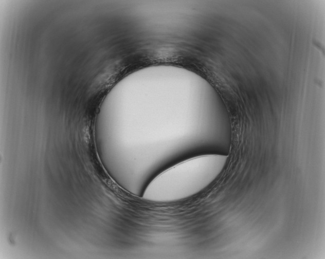 X0000097980746200803241042