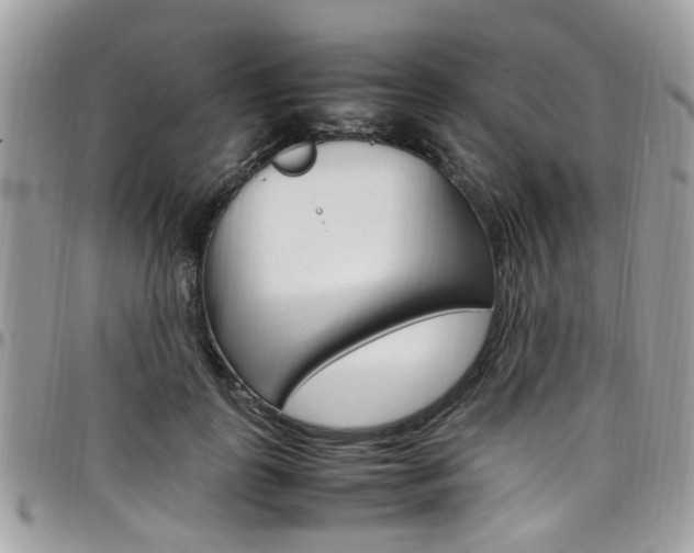 X0000097980747200803241042