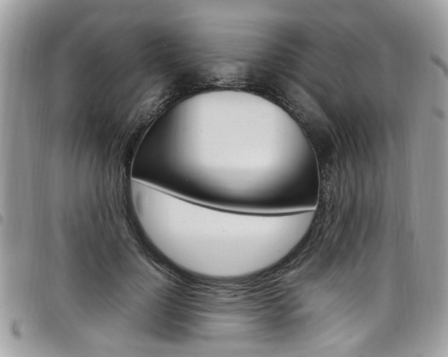 X0000097980748200803241042