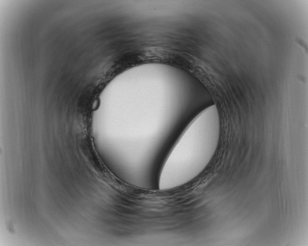 X0000097980751200803241042