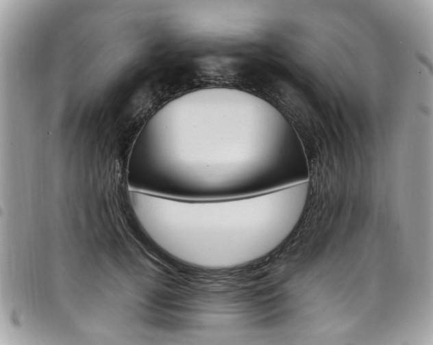 X0000097980752200803241042