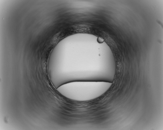 X0000097980753200803241042