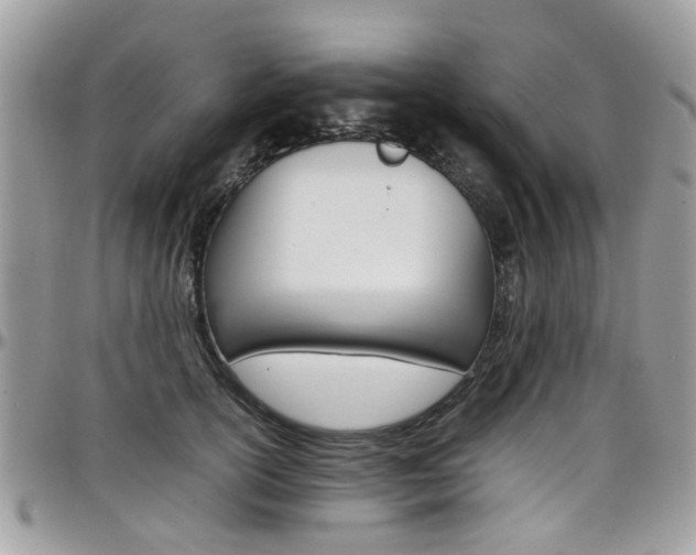 X0000097980754200803241042