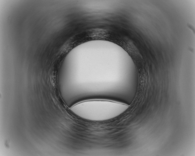 X0000097980755200803241042
