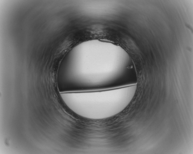 X0000097980756200803241042