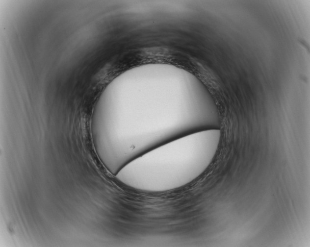 X0000097980757200803241042