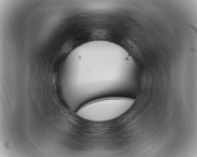 X0000097980759200803241042