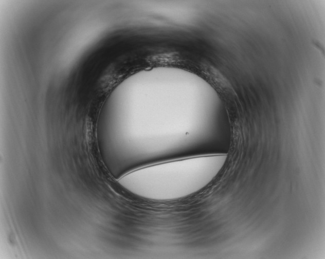 X0000097980760200803241042